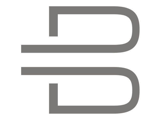 Current Byton Logo (2016)