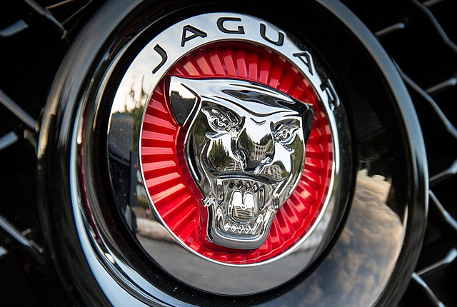 Jaguar emblem 640x430
