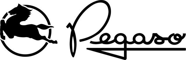 Pegaso logo (2560x1440) HD png
